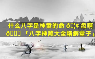 什么八字是神童的命 🦢 盘啊 🐟 「八字神煞大全精解童子」